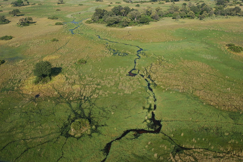 Okavango Delta, Botswana