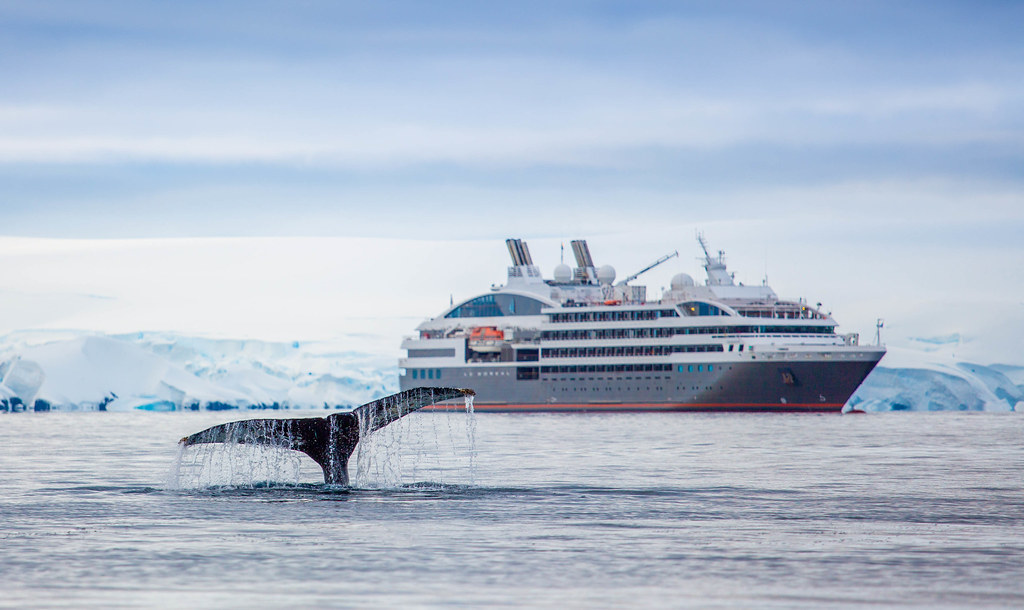 The tail of a whale is seen with a large cruise ship and Antarctic ice in the background.