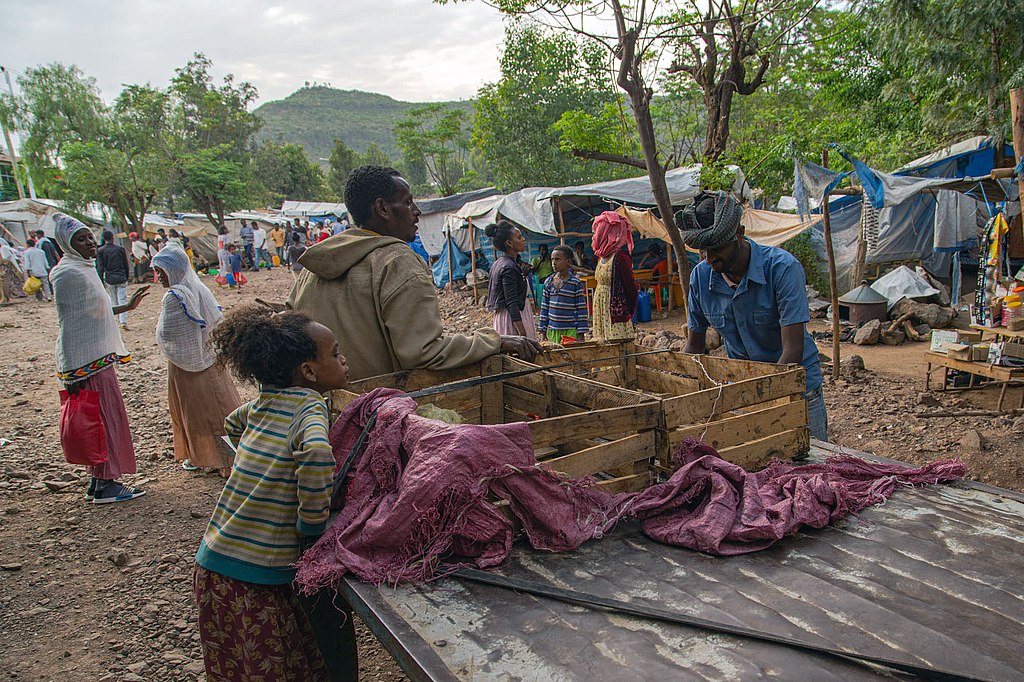 Tigray displacement camps are often overcrowded with new displaced families arriving regularly, June 11, 2021.