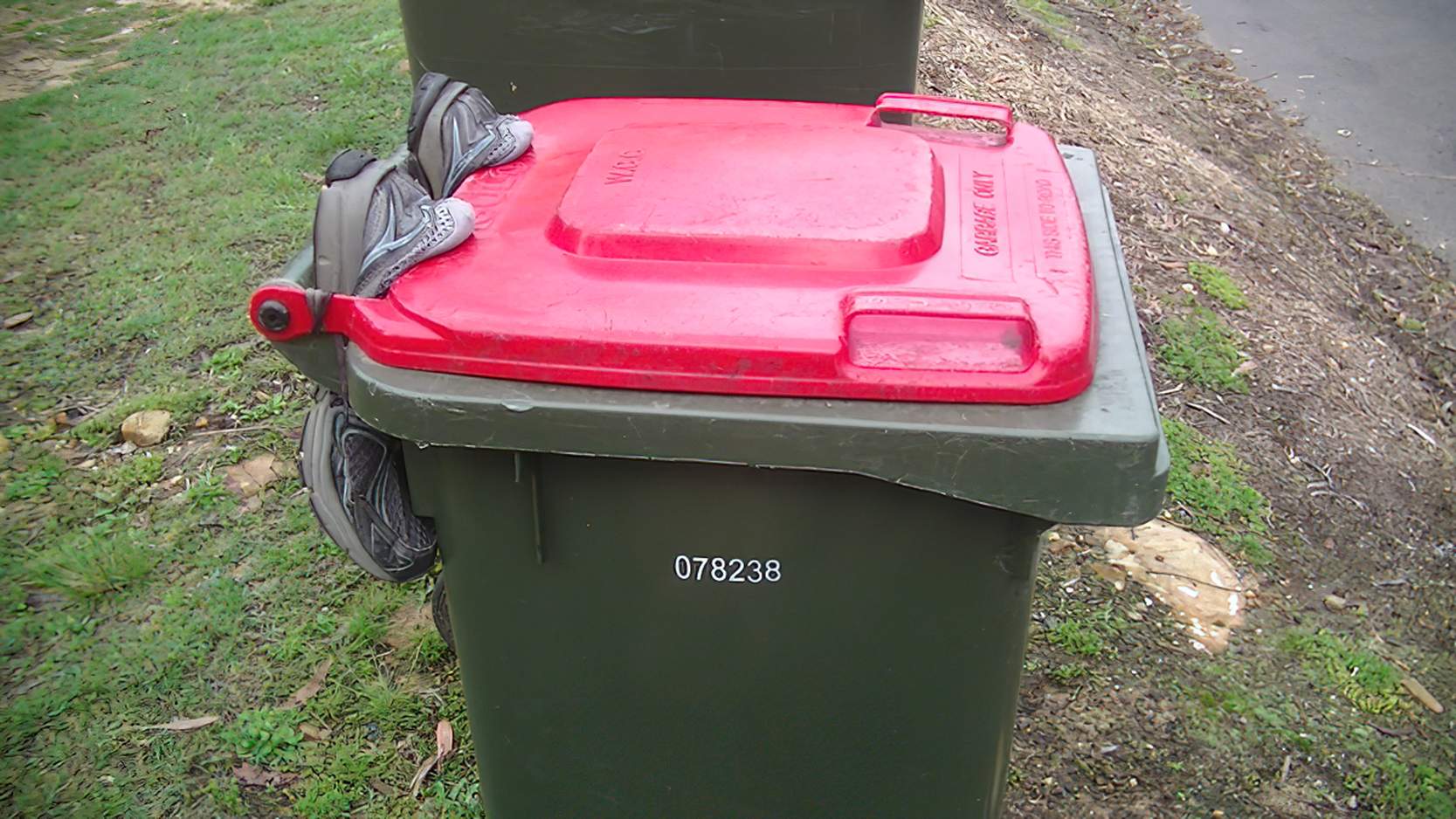 Running shoes jammed in to make bin lid hard for cockatoos to open.