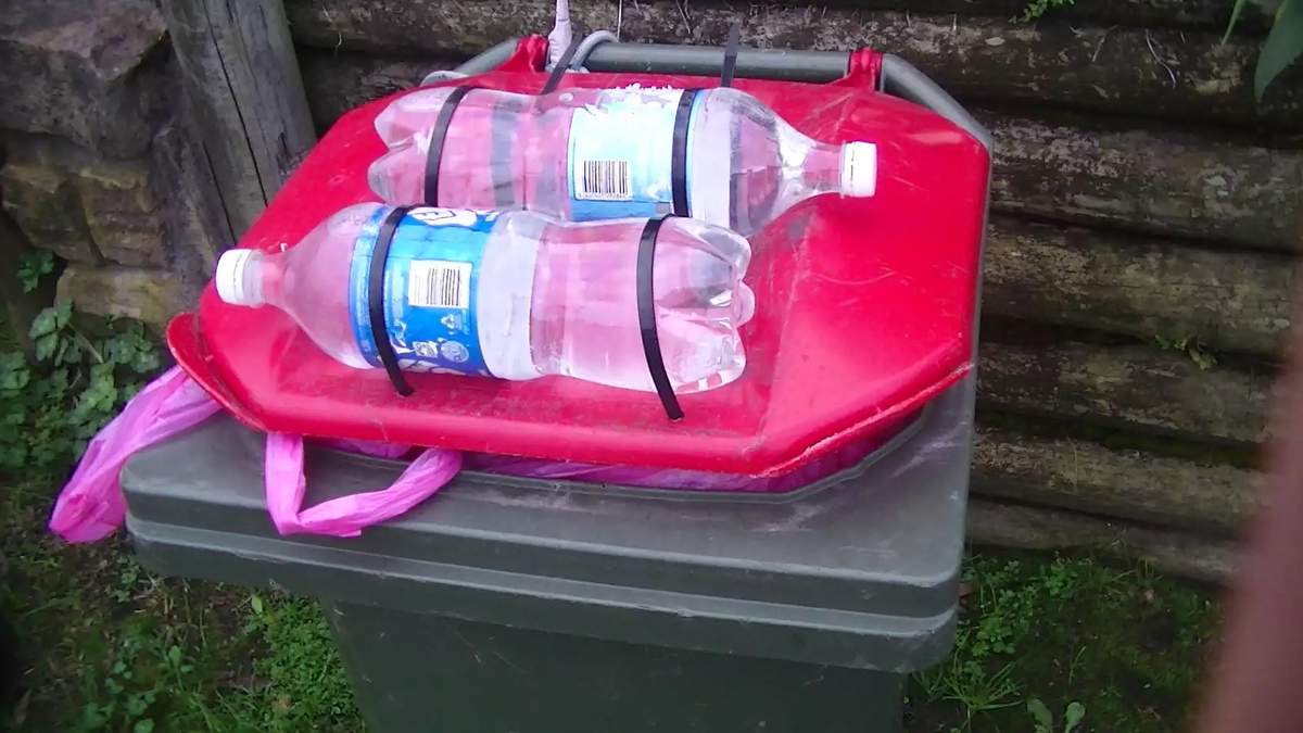 Weighing down lids with water bottles (above), stones, or door mats are just some of the innovations used by Sydney residents to keep cockatoos from opening garbage bins.