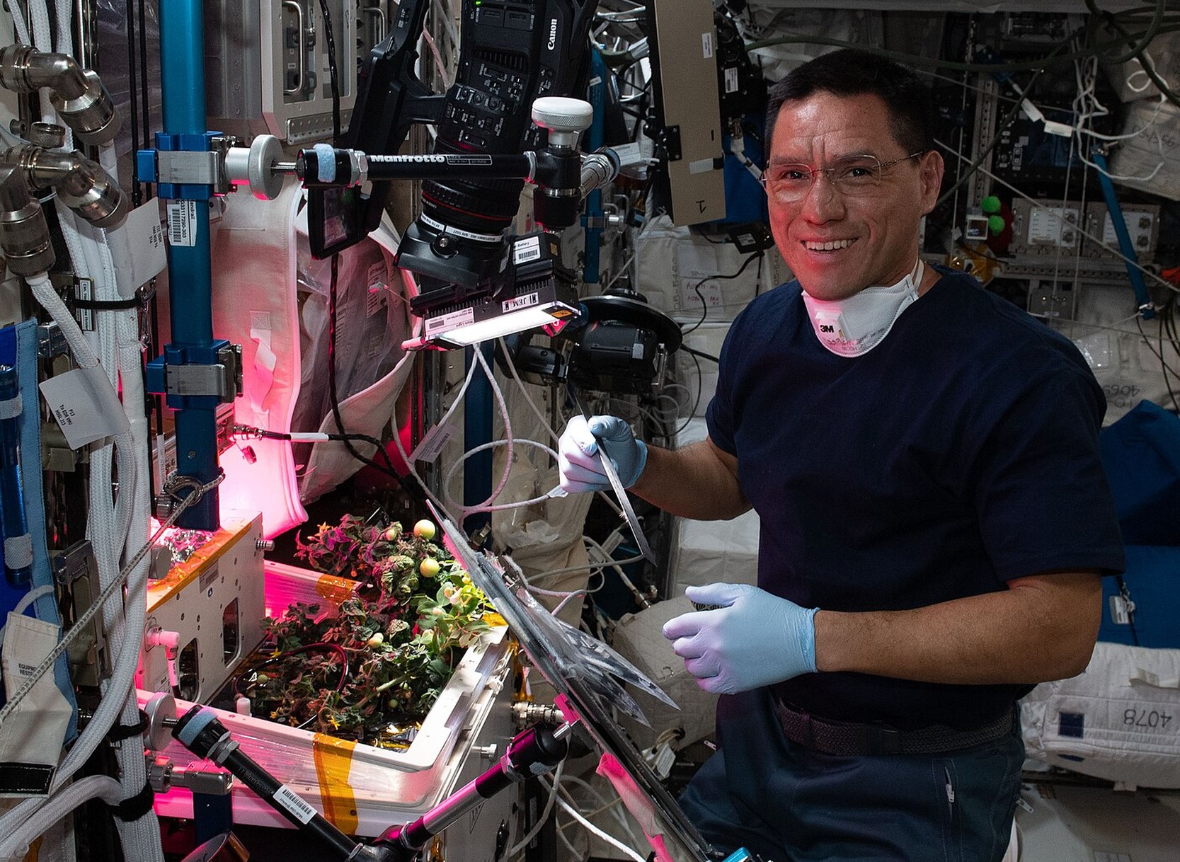 NASA astronaut and Expedition 68 Flight Engineer Frank Rubio checks tomato plants growing inside the International Space Station for the XROOTS space botany study. The tomatoes were grown without soil using hydroponic and aeroponic nourishing techniques to demonstrate space agricultural methods to sustain crews on long term space flights farther away from Earth where resupply missions become impossible.