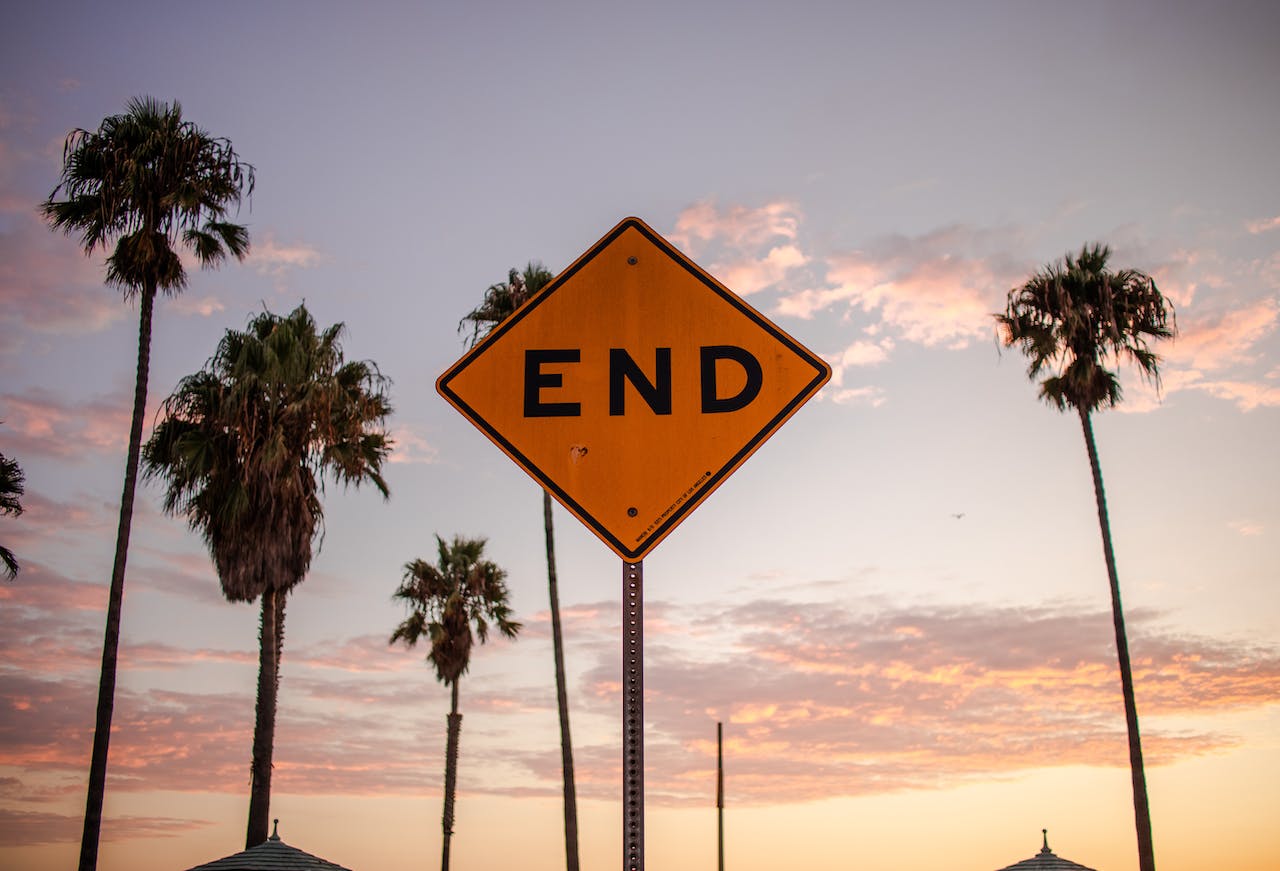 A shot angled upwards, showing several palm trees and a road sign saying "END" against a colorful sunset.