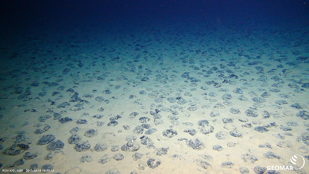 Manganese nodules on the seafloor in the Clarion-Clipperton zone. The image was taken with ROV KIEL 6000 during expedition SO239 with FS SONNE in April 2015.