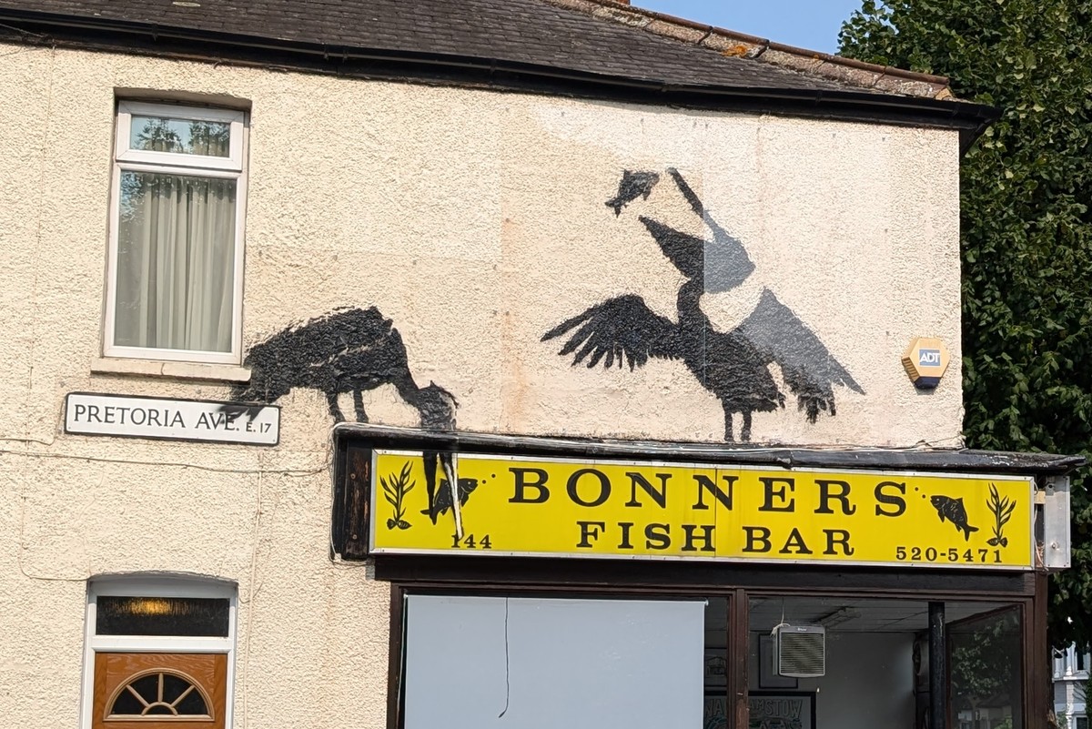 August 2024 work by Banksy on Pretoria Road, Walthamstow, showing silhouettes of pelicans pulling fish out of a sign for a fish shop.