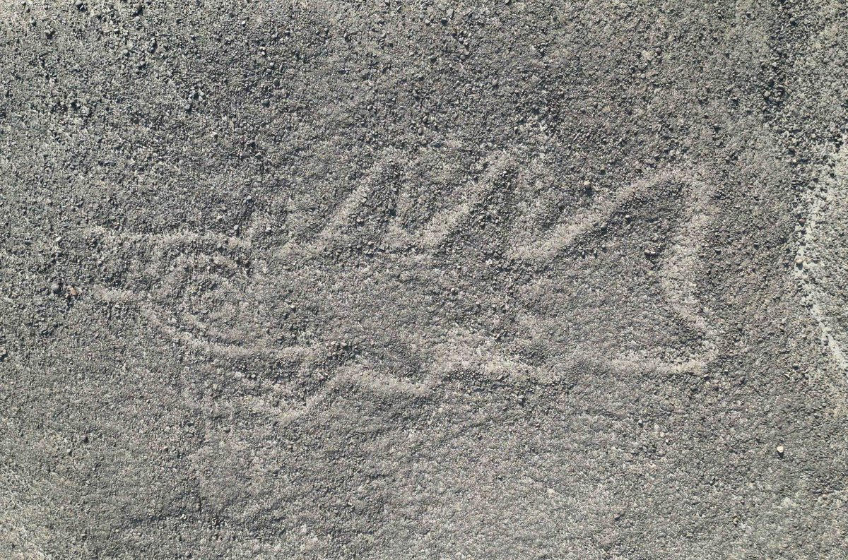 One of the new smaller Nazca geoglyphs discovered by scientists with the help of AI and drones. This geoglyph represents an Orca (killer whale) with a knife.